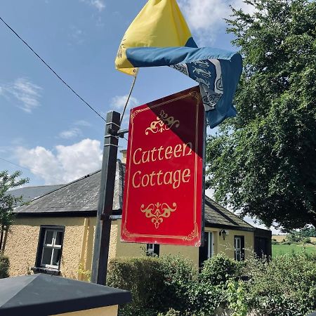 Cutteen Cottage Tulla Exterior foto